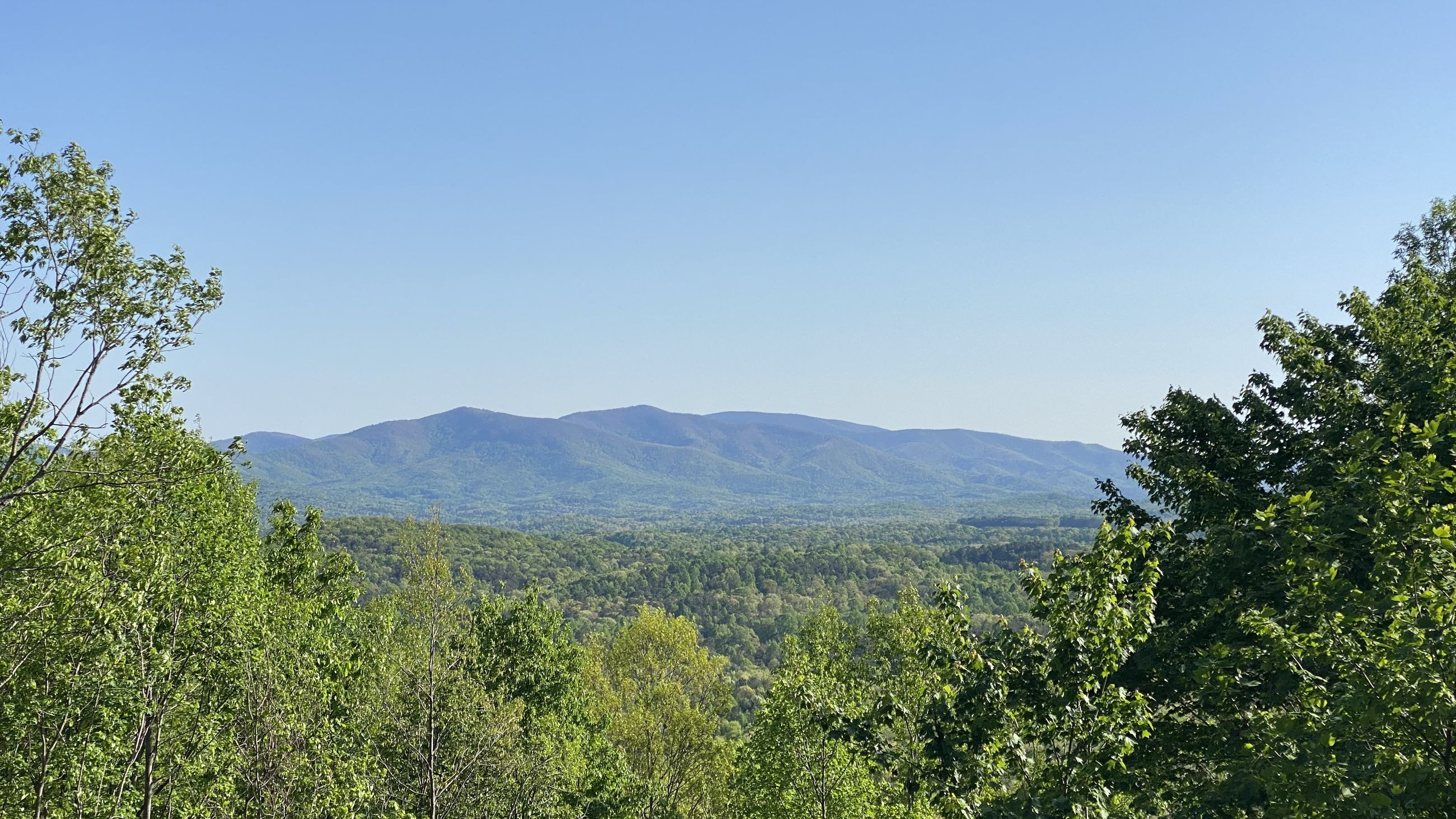 Land for Sale Mountains The Woodland Group